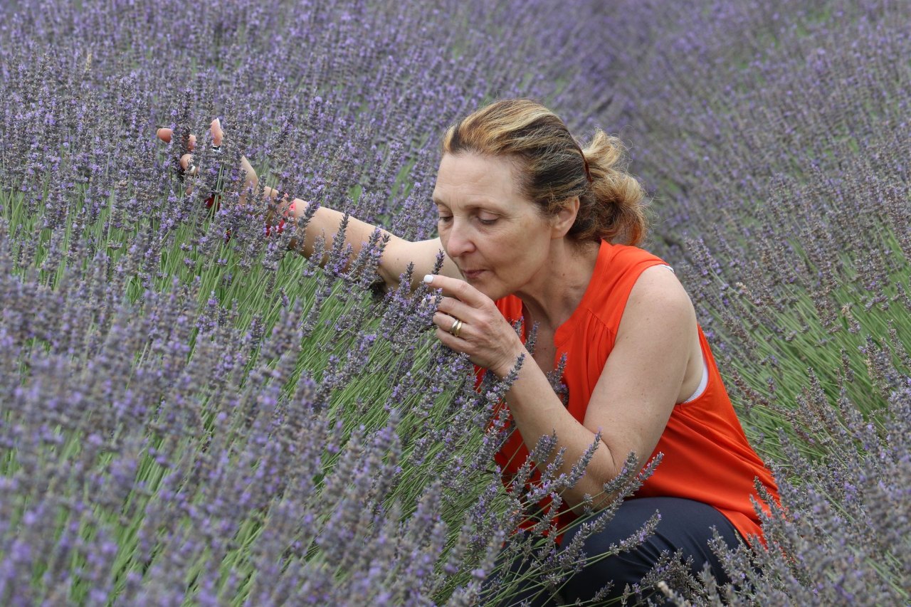 Mulher de blusa laranja sentindo o perfume da lavanda em um campo florido Mulher de blusa laranja sentindo o perfume da lavanda em um campo florido